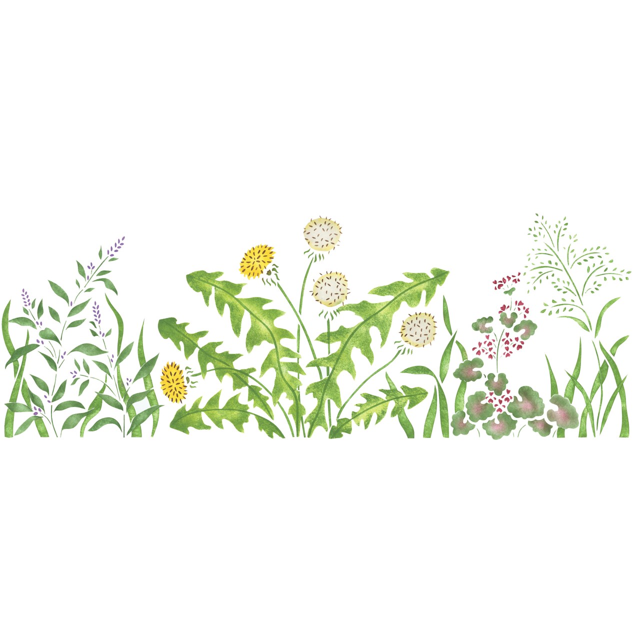 Dandelion Flower Wall Stencil | 1718 by Designer Stencils | Floral Stencils | Reusable Art Craft Stencils for Painting on Walls, Canvas, Wood | Reusable Plastic Paint Stencil for Home Makeover | Easy to Use & Clean Art Stencil